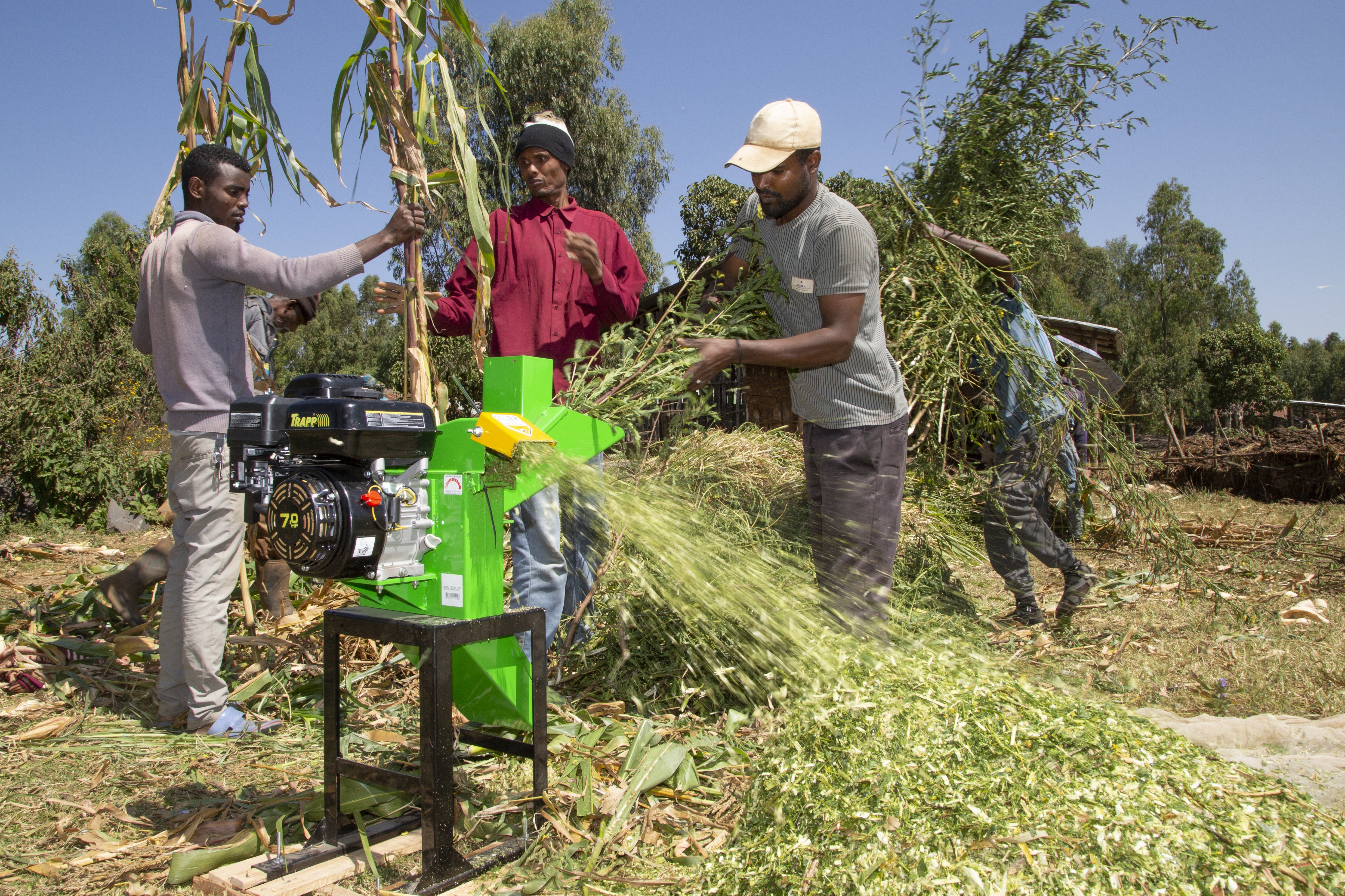 Chopper service Fentabele Farm Amhara