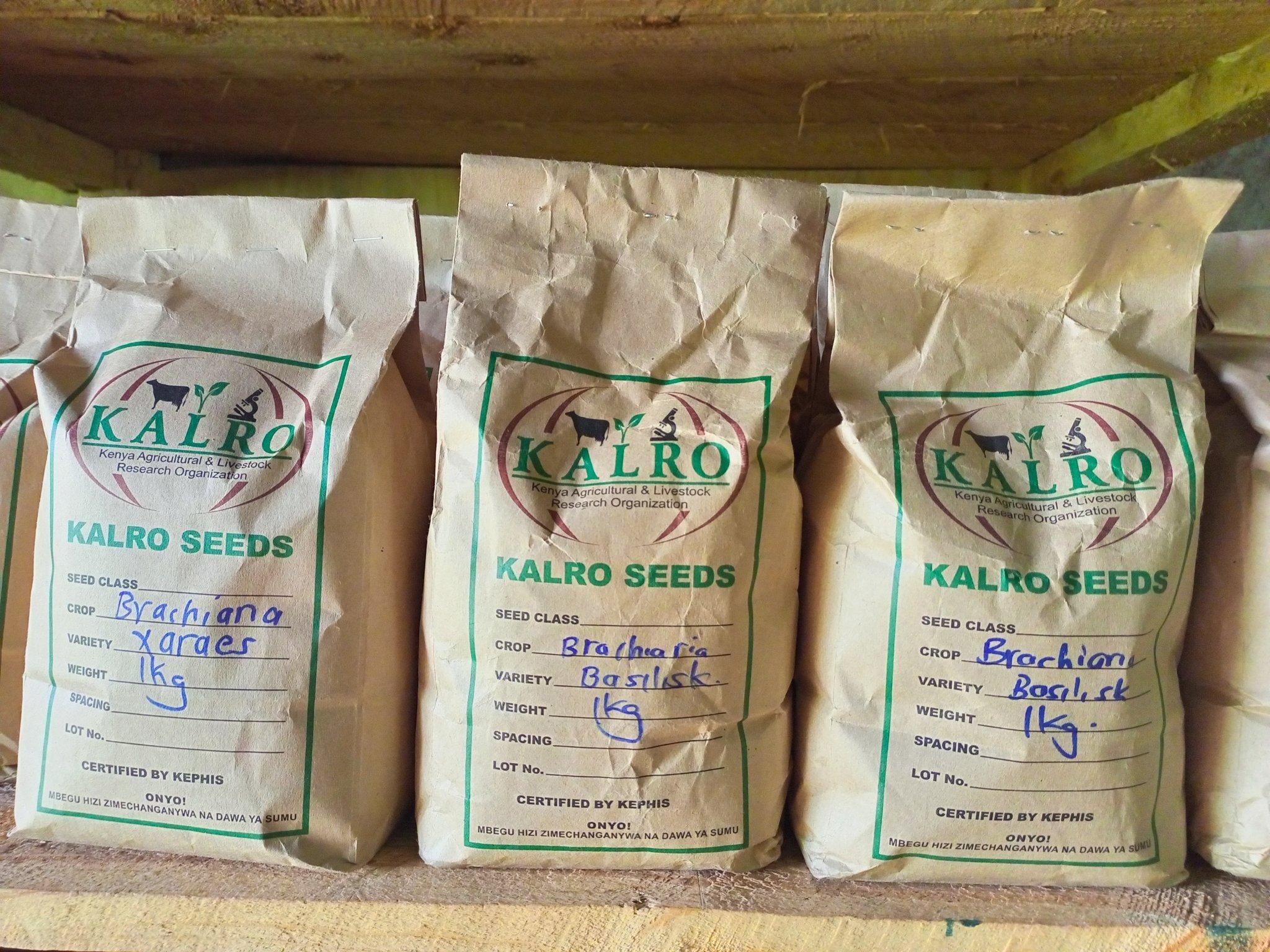 F2s MK Wc Xg AA5 Hbb