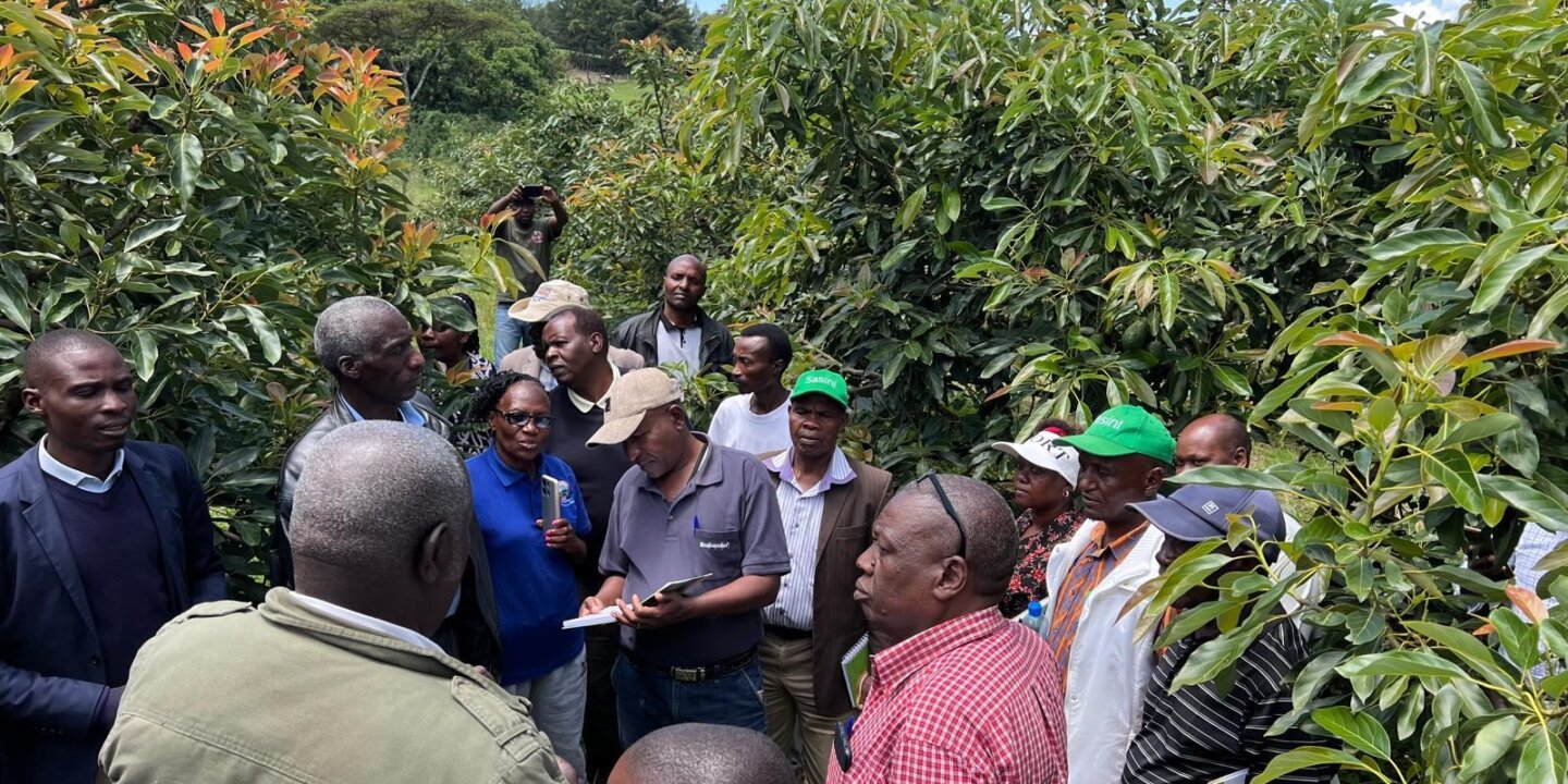 Nandi Farmers exchange 3