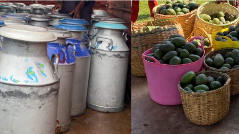 FORQLAB newsletter 2023, issue 1