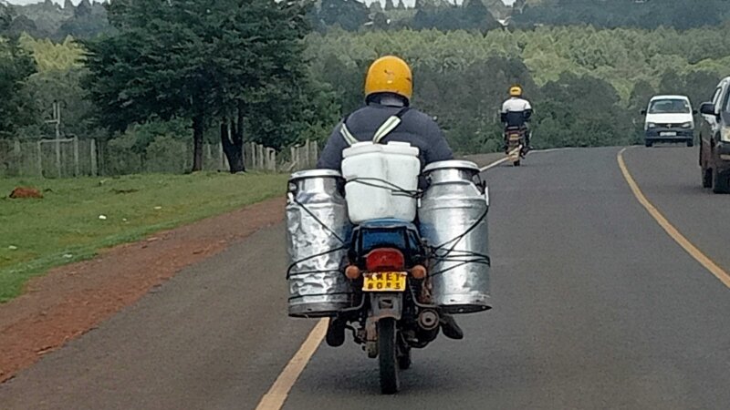 FORQLAB student research on dairy loss and quality