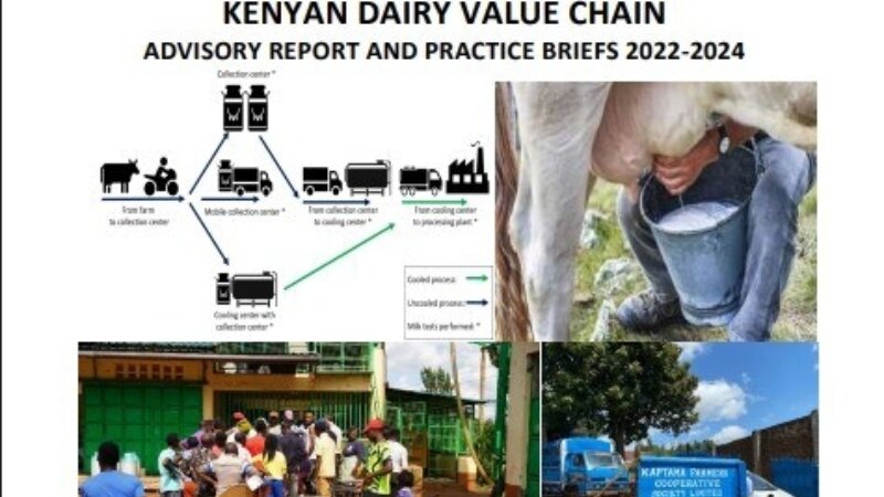 FORQLAB Practice briefs Dairy