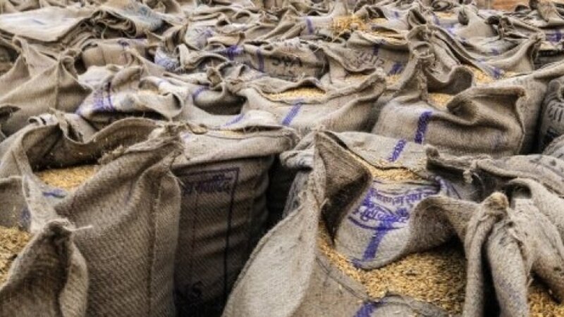 Lost Harvest and Wasted Food (blended course at Wageningen UR, apply March 30)