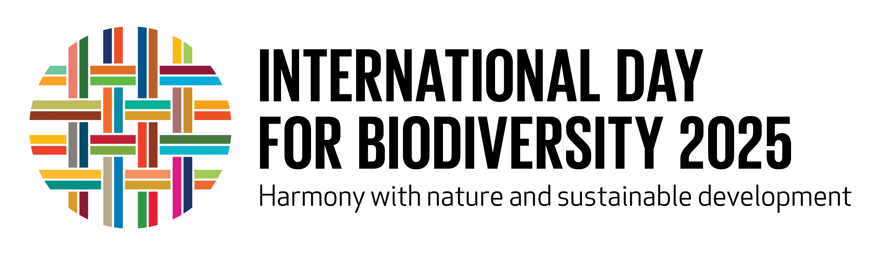 IDB 2025 logo RGB EN