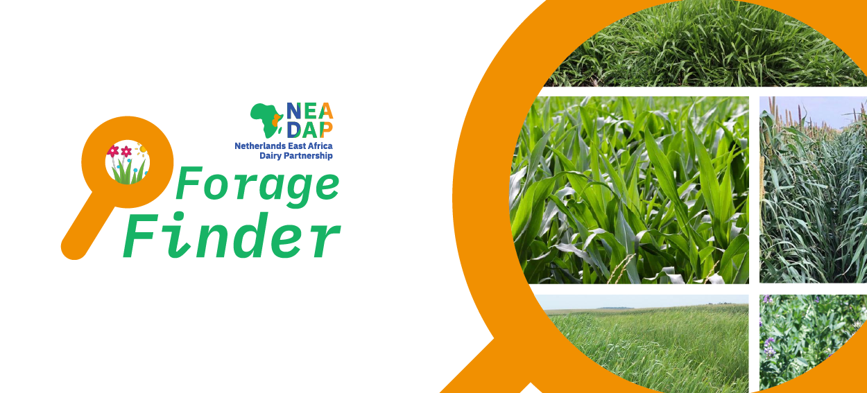 NEADAP Forage finder 03