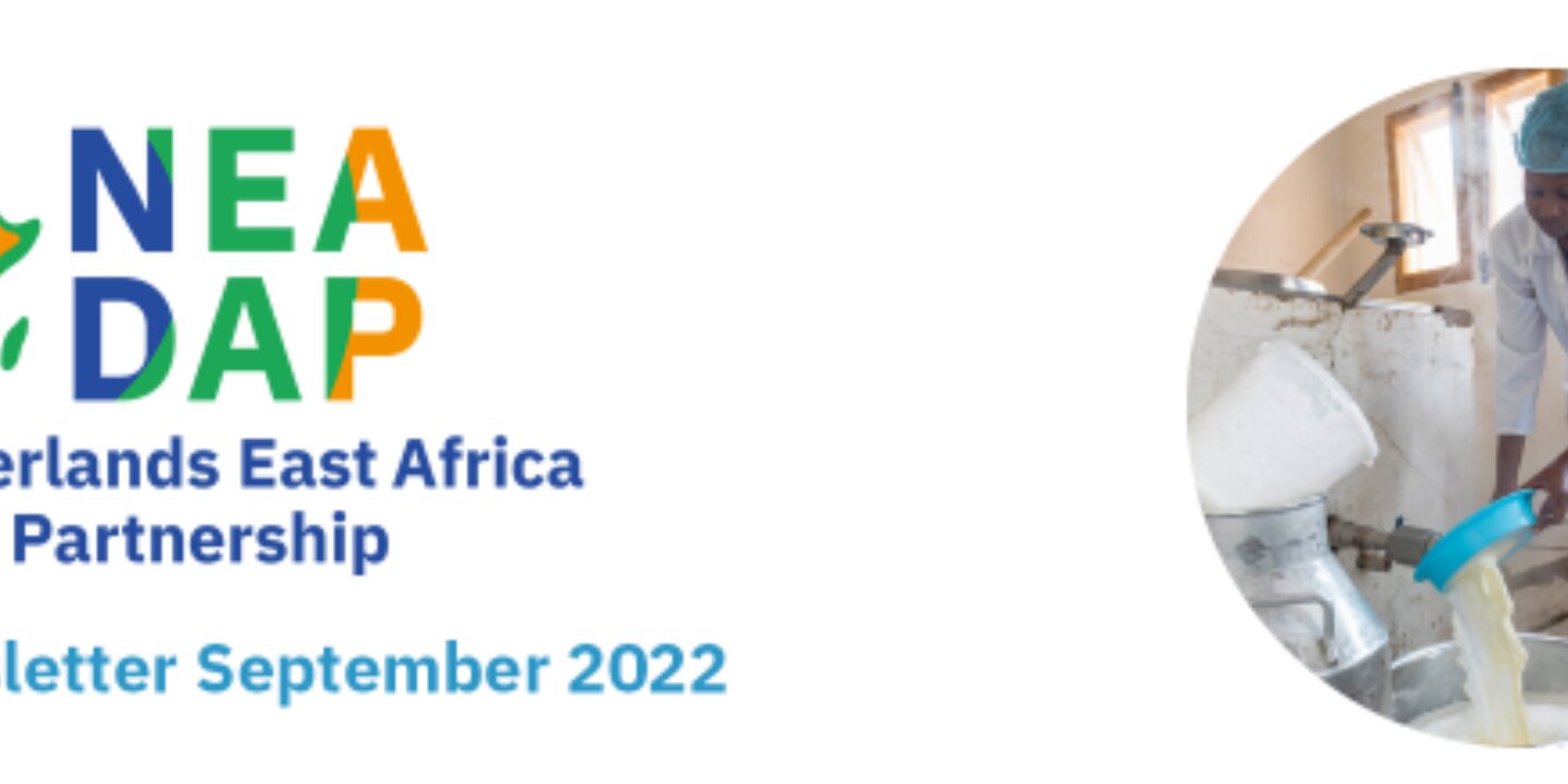 Screenshot 2023 03 14 150935