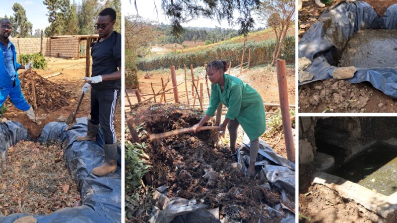 Improving manure management practices in Kiambu, Kenya