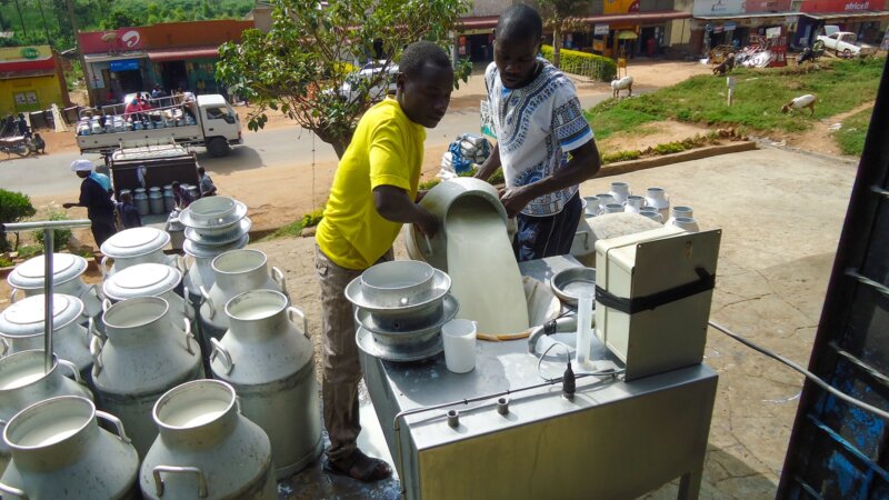 NEADAP Focuses on Scaling Proven Approaches and Technologies