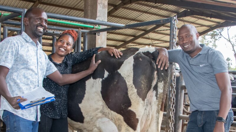 Rumen8 training materials available online