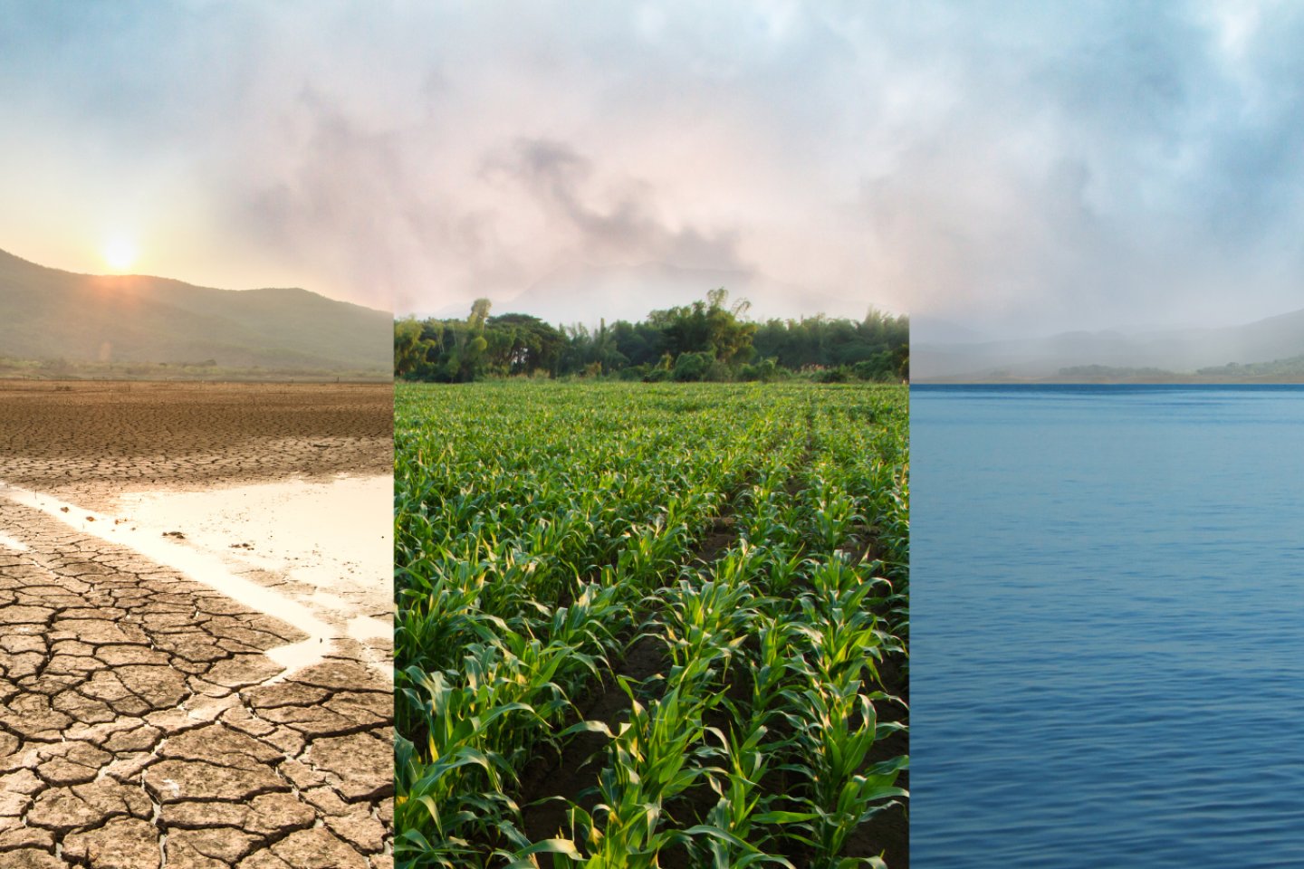 Saline Water and Food Systems