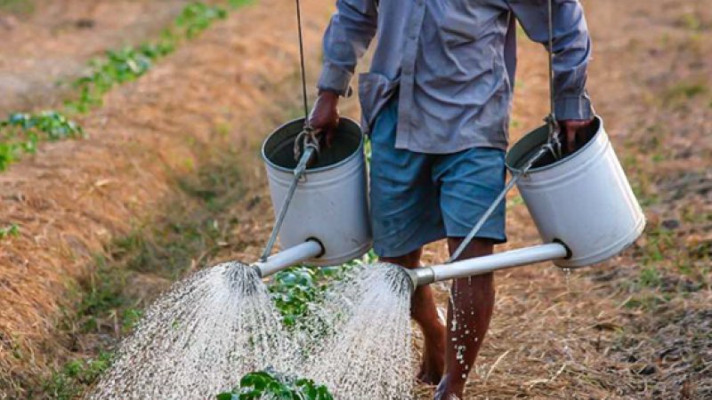 Second edition of the Salinity Magazine published