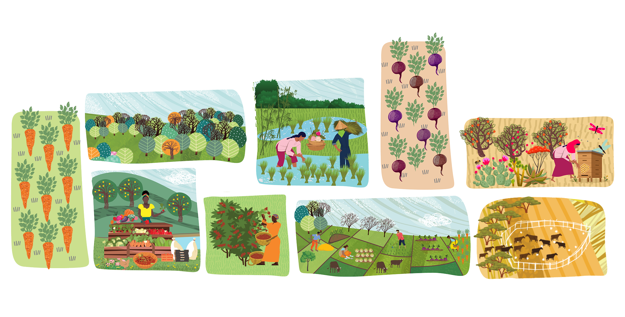 Website Bottom Banner