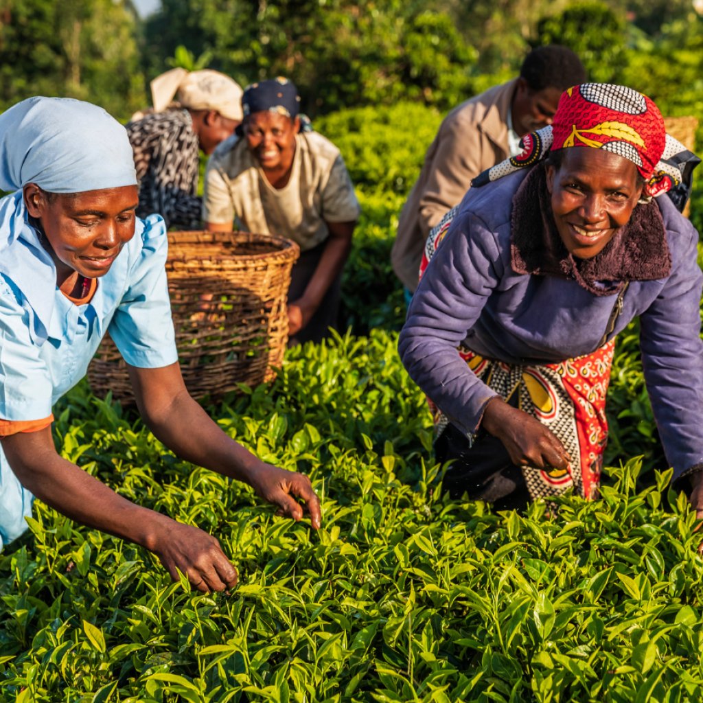 Discover our communities