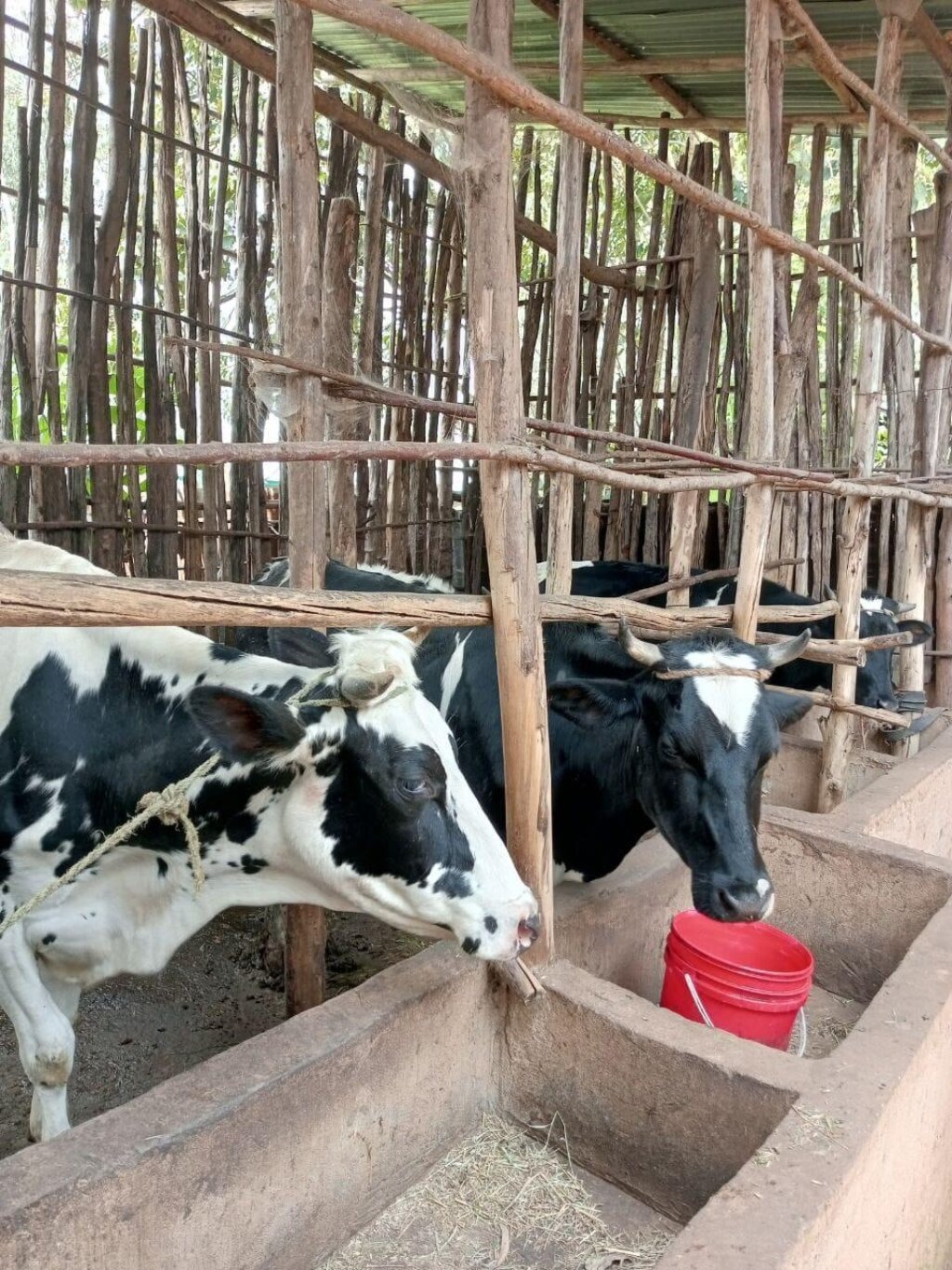 Whats App Image 2024 10 10 at 04 28 37 1