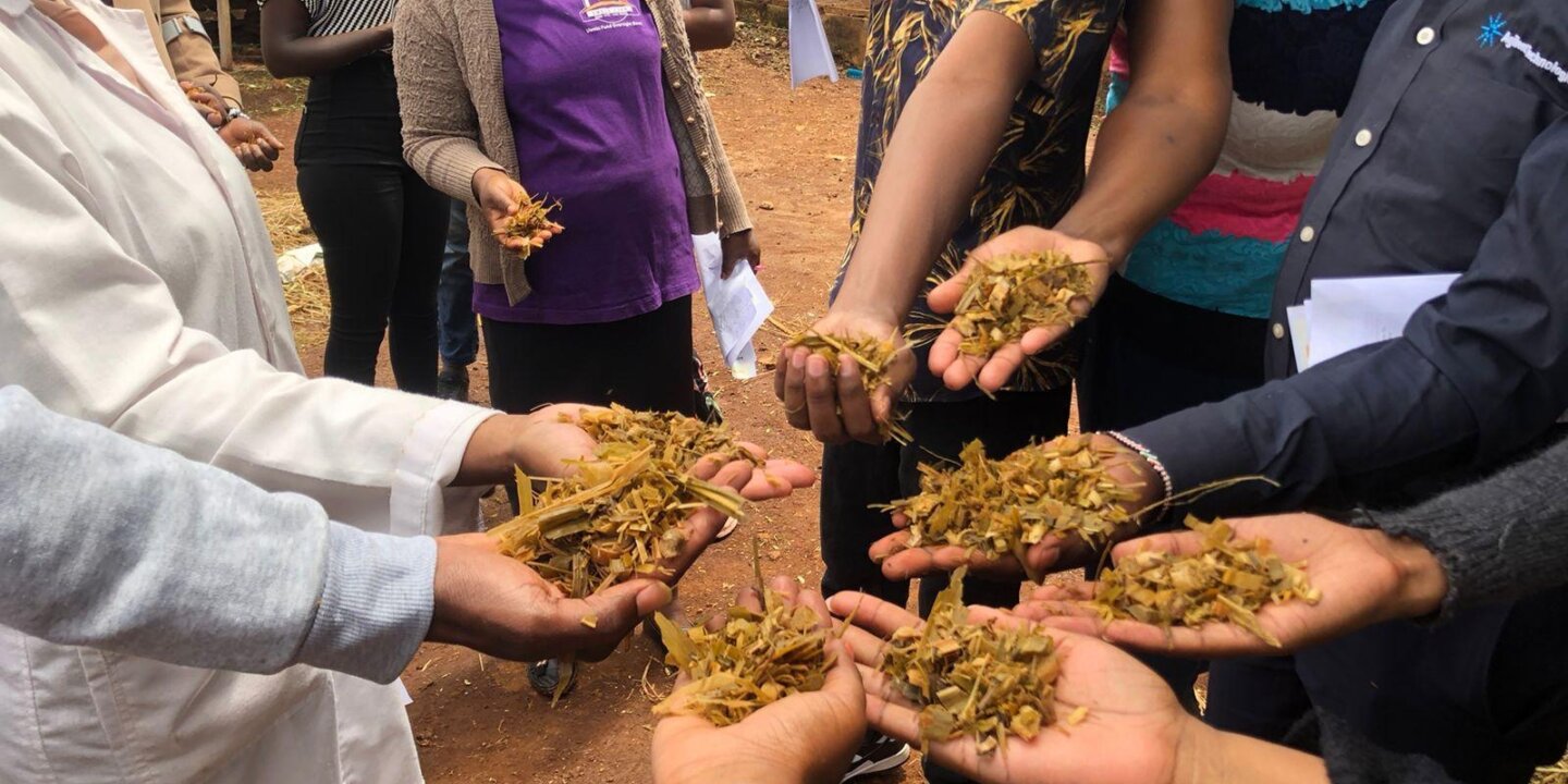 Whats App Image 2023 04 05 at 11 34 53 AM