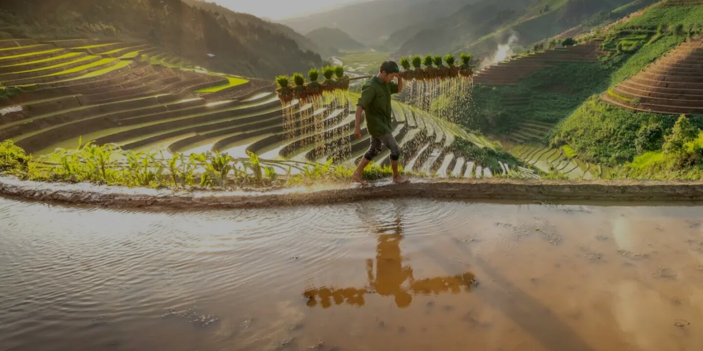 Global Policy Report Launch