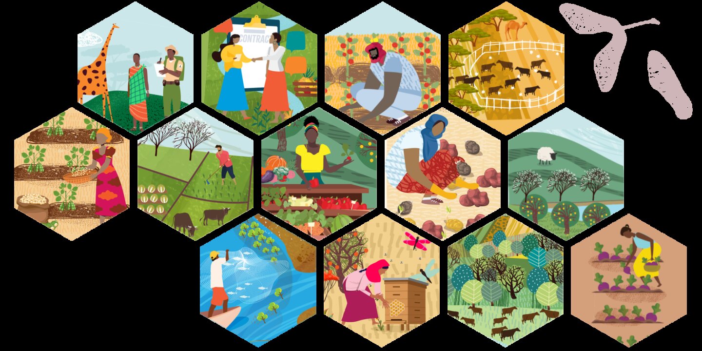 Website Honeycomb Banner