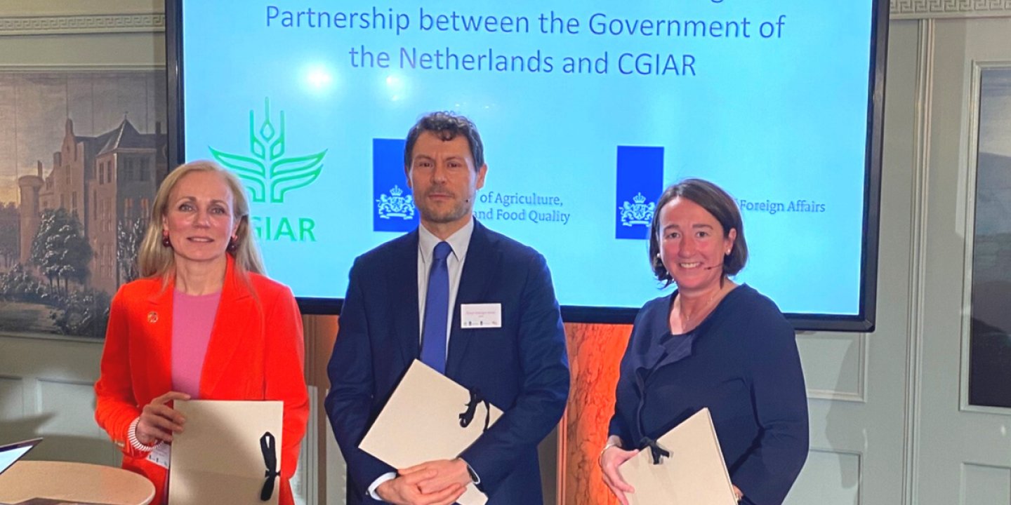 Untitled 1920 1200px 1920 1400px width 1200