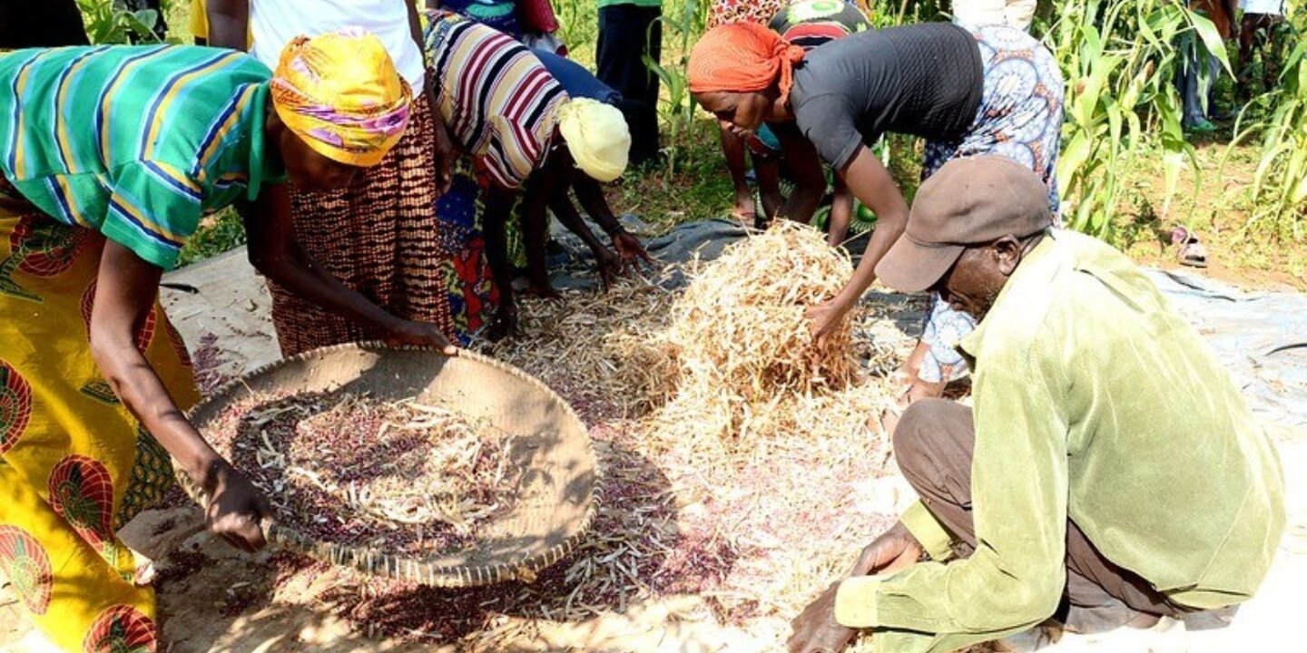 42889724552 23ce0c6f36 c