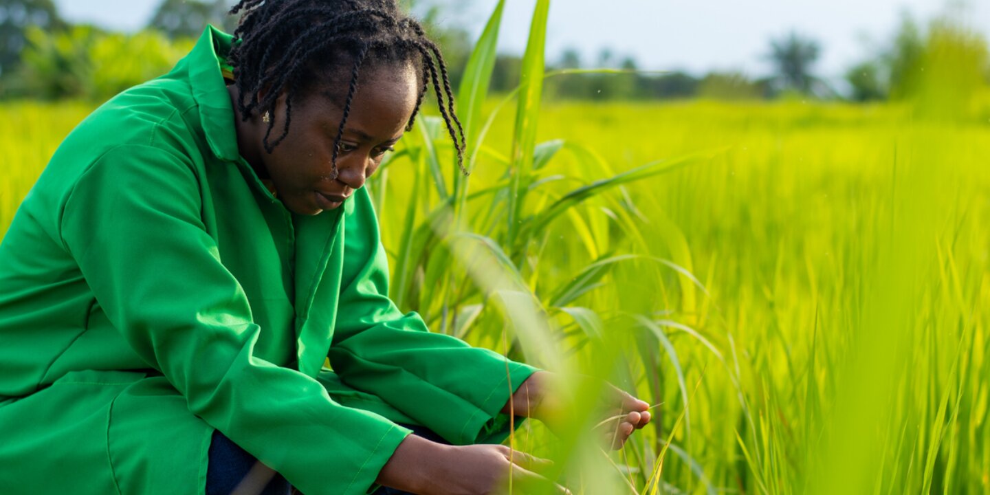 Untitled design 78 width 1200