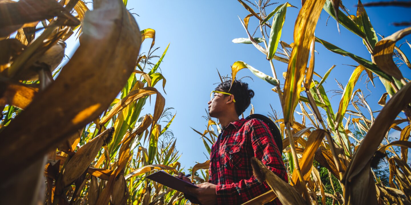 Untitled design 77 width 1200