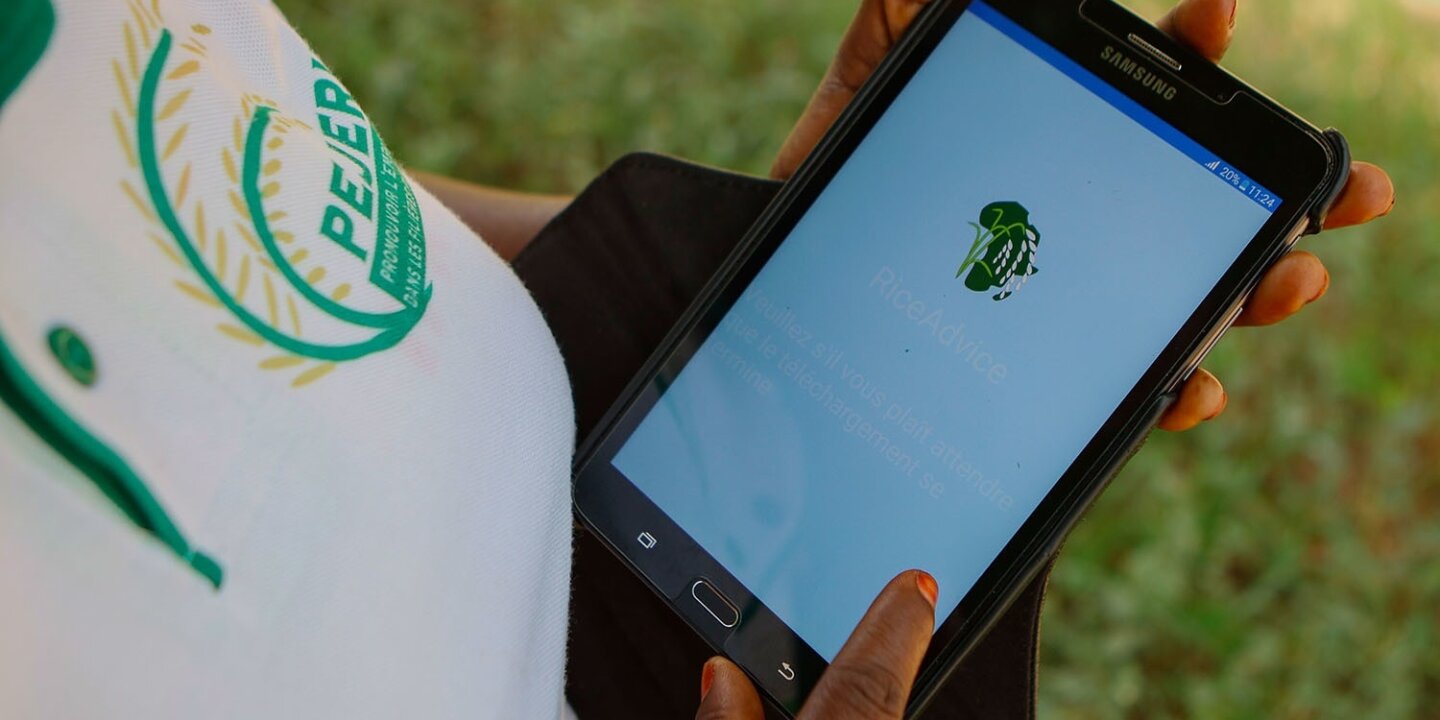 48363894142 8da0d60ef0 h