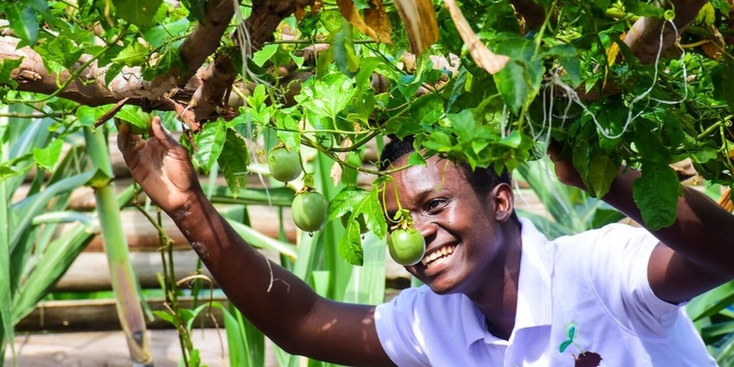 51861263326 3838e47f73 c