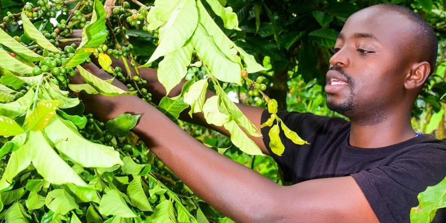 51861268661 00c1023815 c