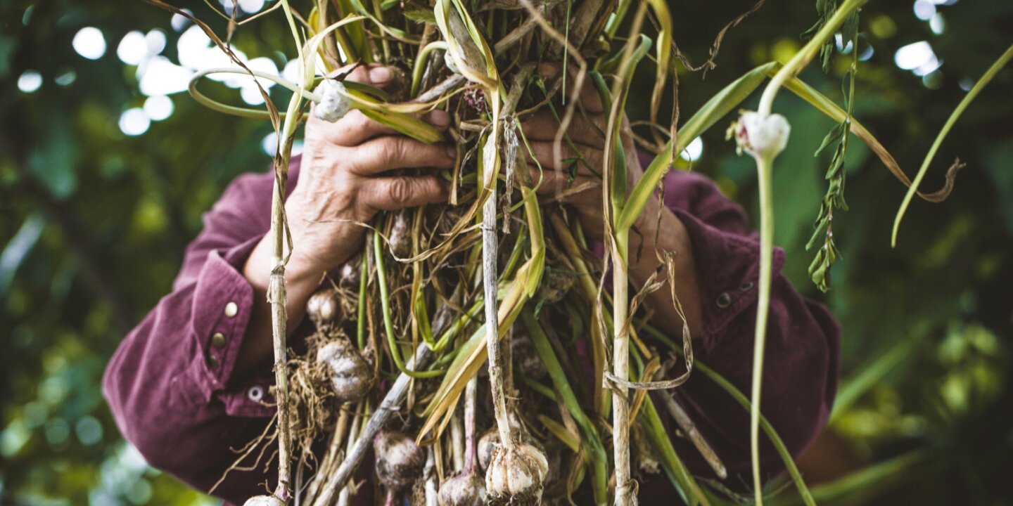 Copy of Adobe Stock 273889084