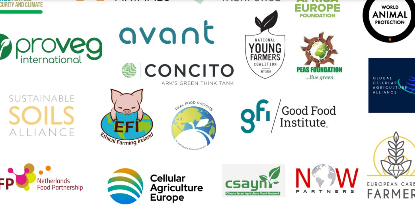 Signatories letter 80 organisations COP28