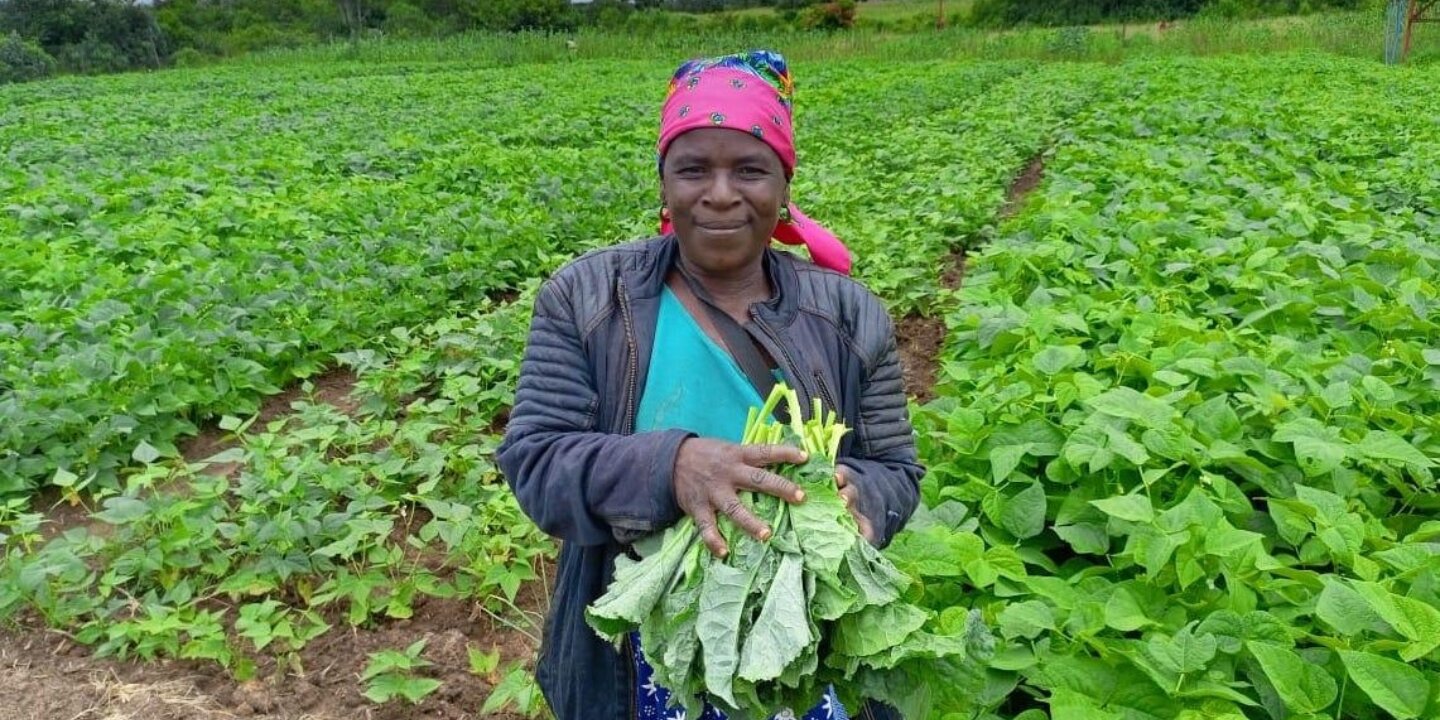 Garisikai Mukwachure Zimbabwe