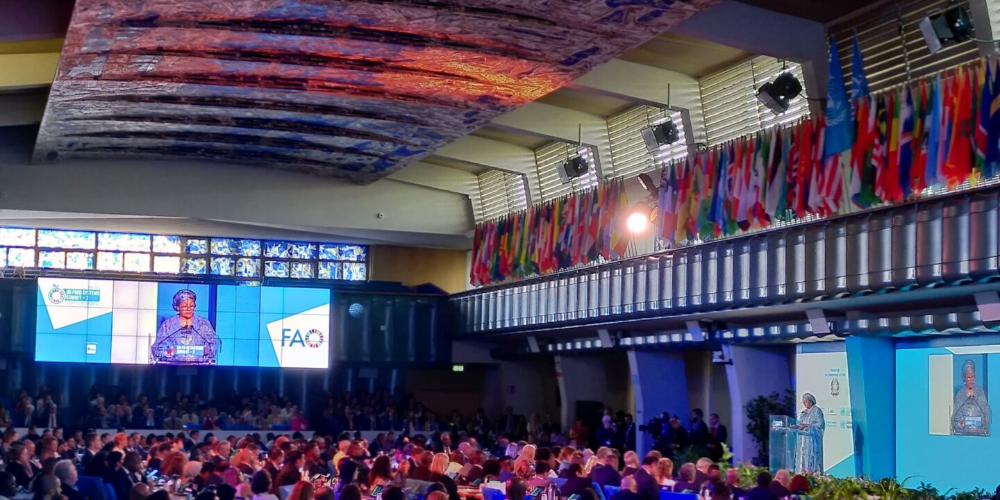 IMG 20230726 183413 UN DSG Amina Mohamed plenary