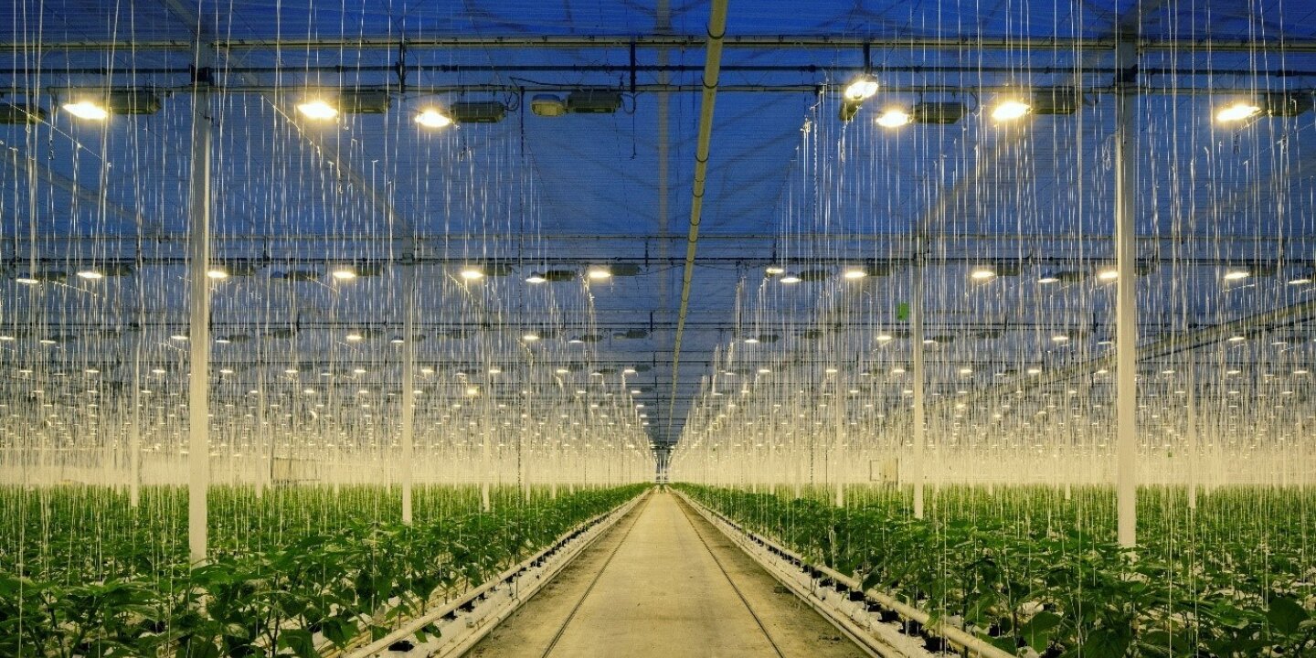 Nigeria beeld gebruiken