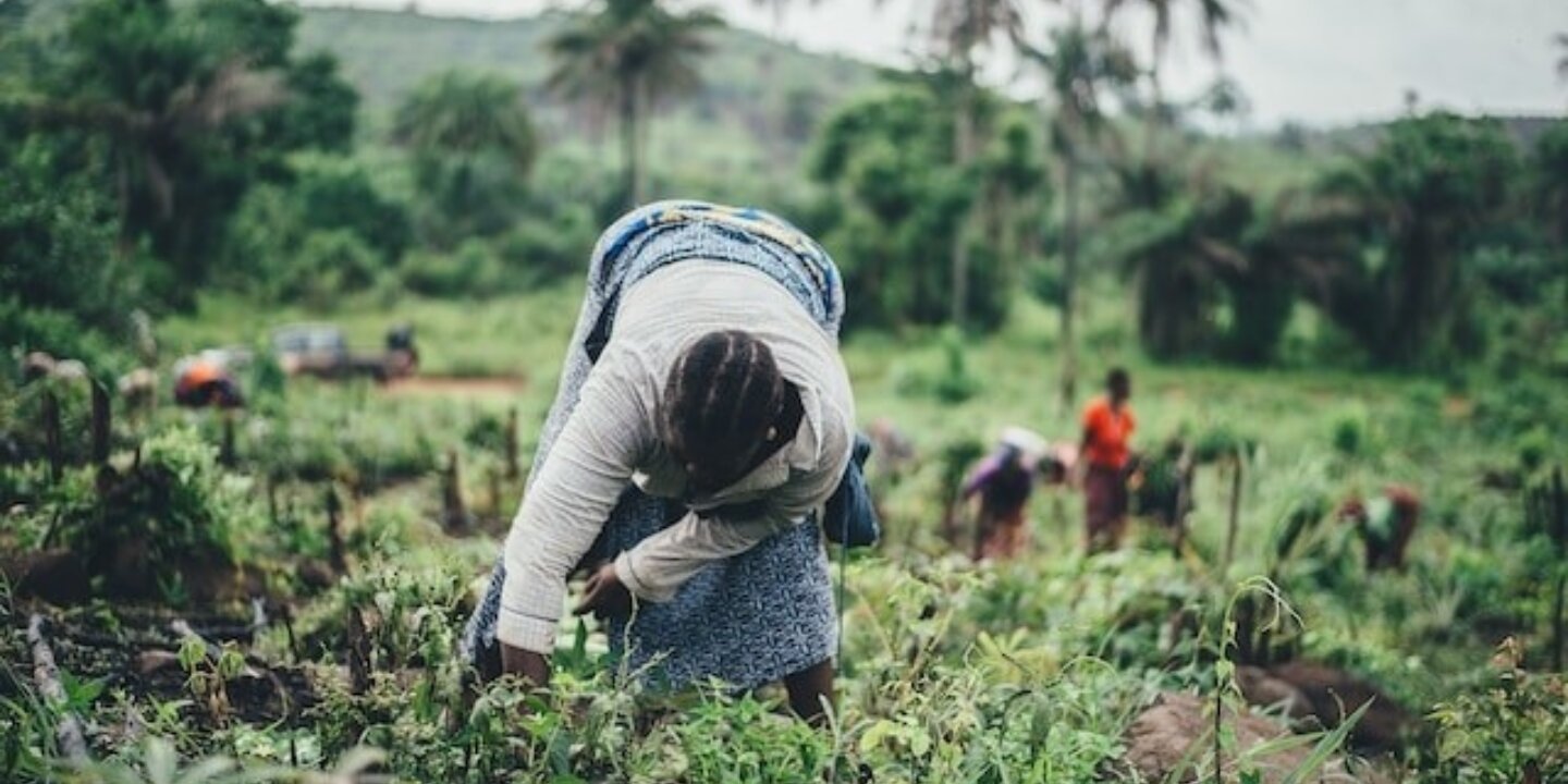 Annie spratt Q Yc Se Y7vu ZM unsplash