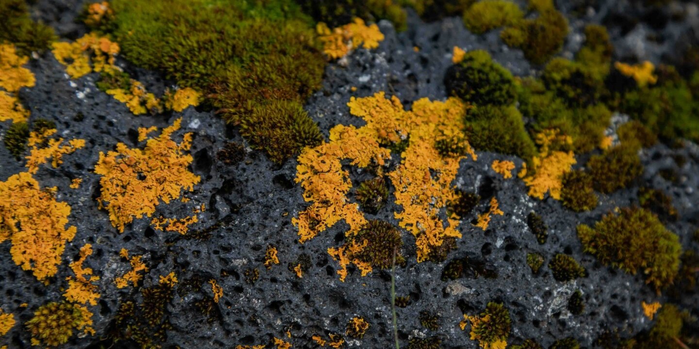 Bernd dittrich G Dp Wkv C Aj S4 unsplash