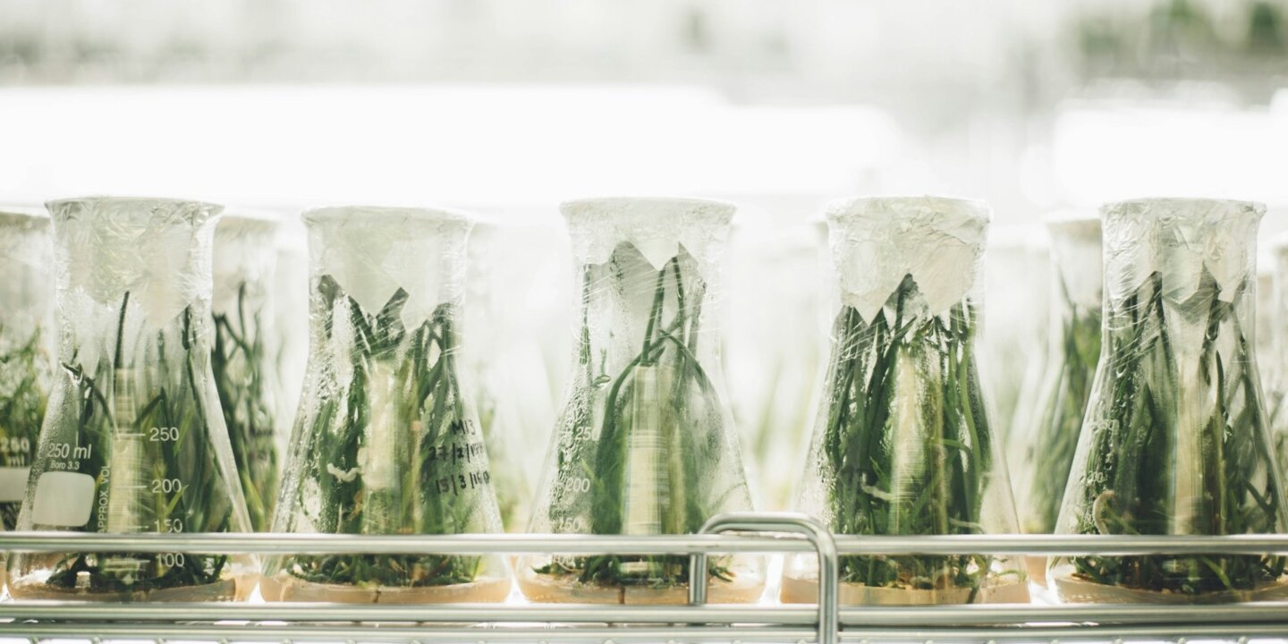 Chuttersnap Umnc Jq4 K Pc A unsplash