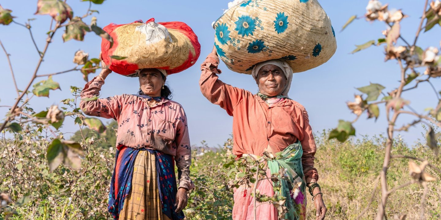 Equalstock Vs Vfl E0 X8 VE unsplash 2