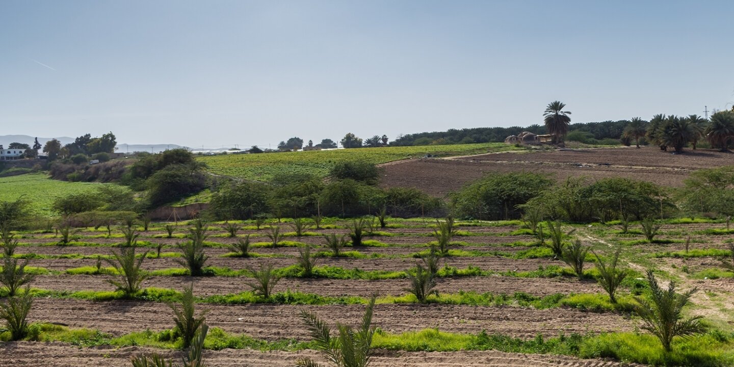 F261f6bd f760 421e 8522 a037a7cfbac4 da13c3e3 50dd 4224 bd2d 12737b467cac Afbeelding 1