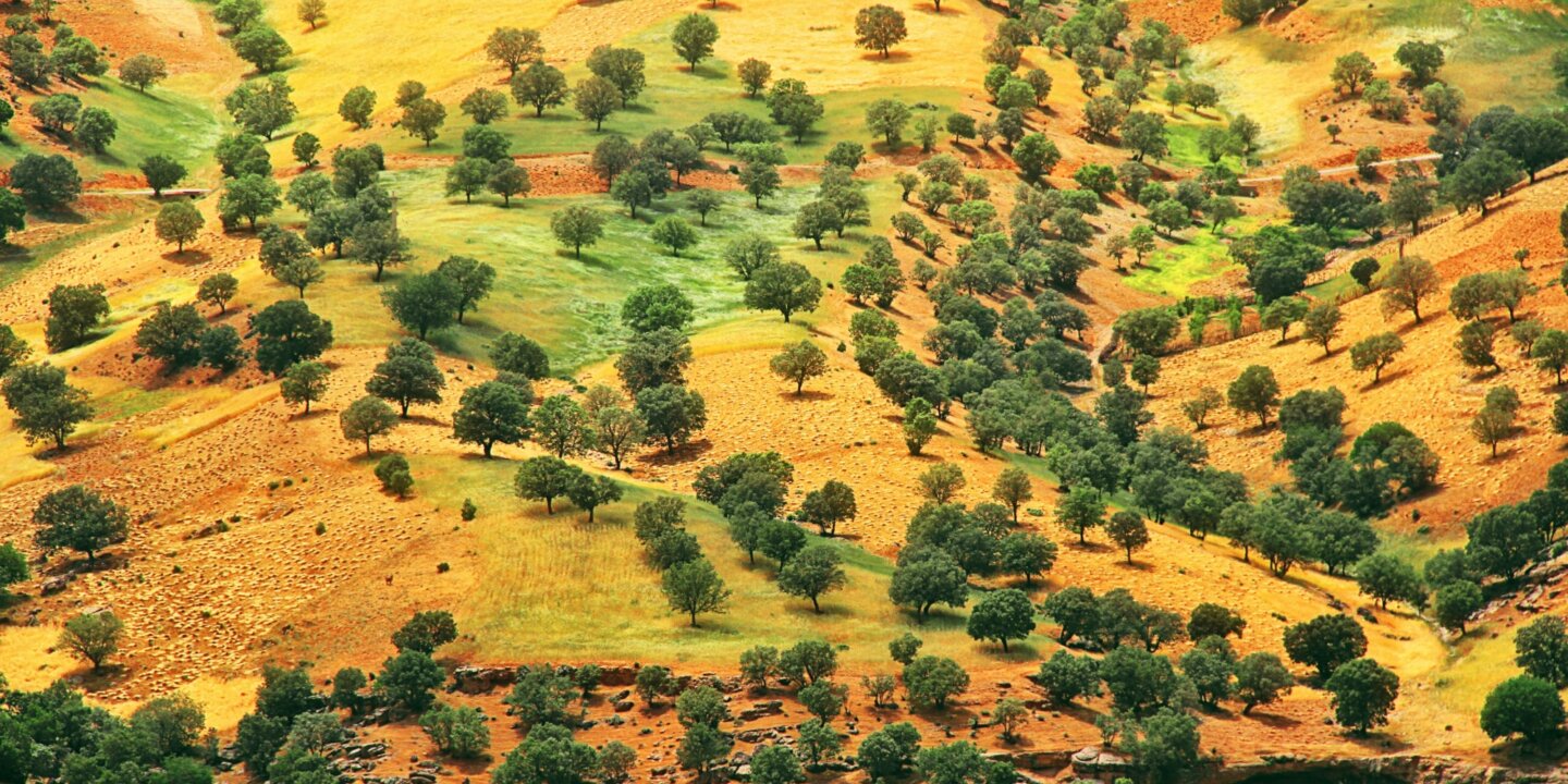 Hasan almasi Avdaf Vbjmi0 unsplash