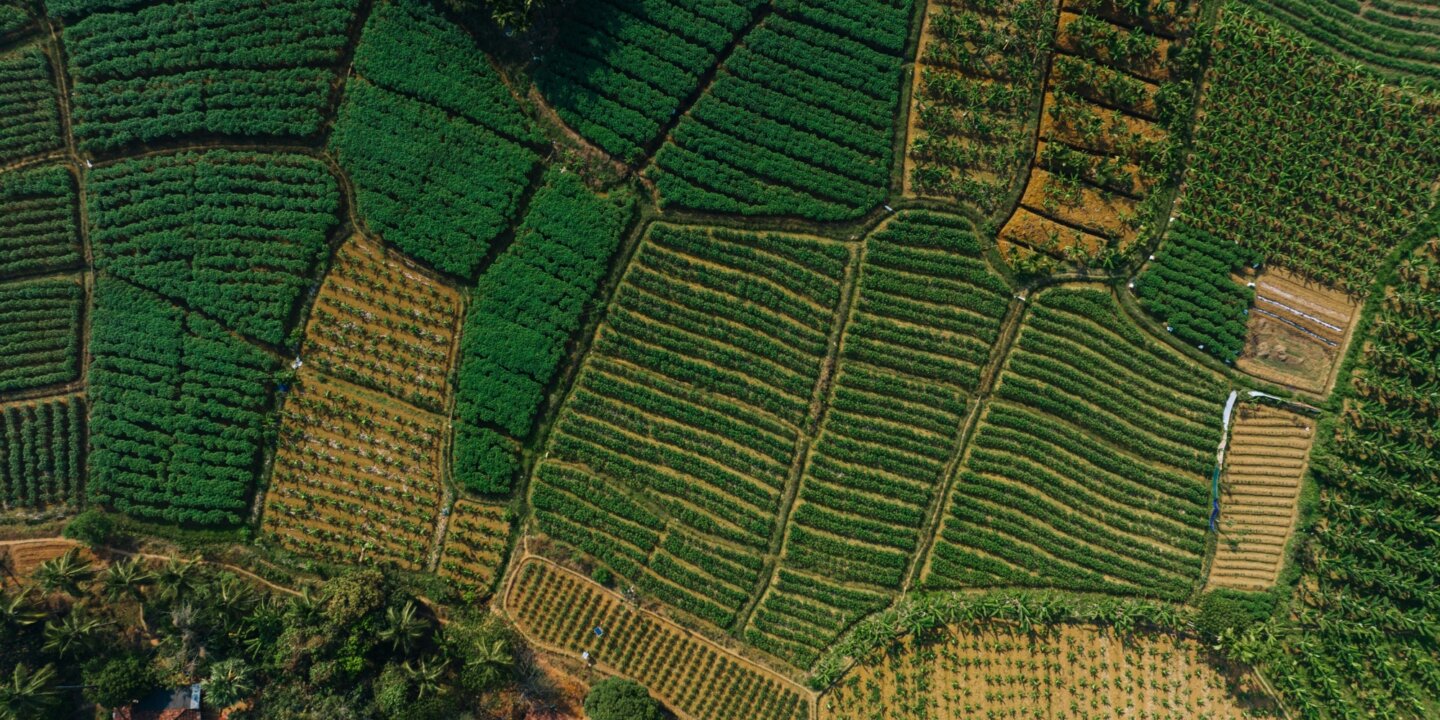 Jeswin thomas J Hijn0q XU Oc unsplash