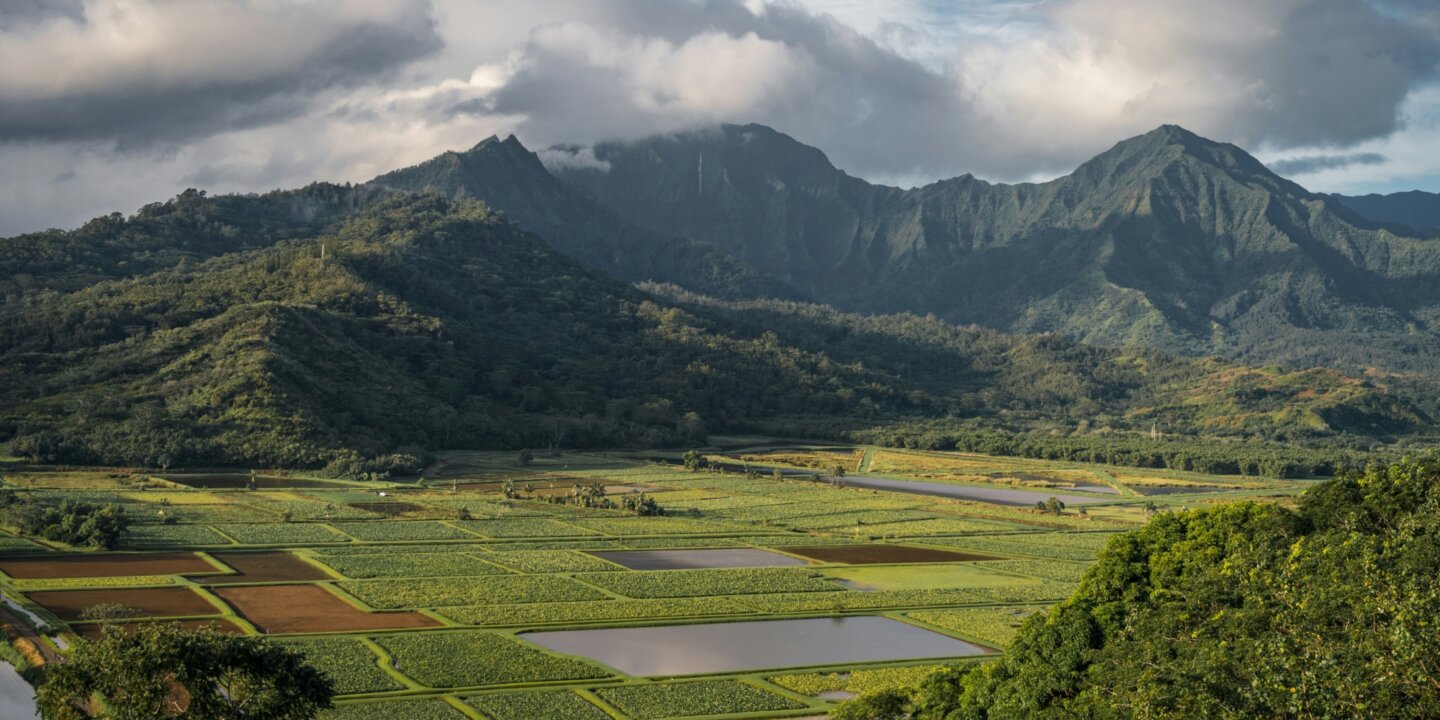 Jimmy conover o Ad B Nn Dh8o Y unsplash