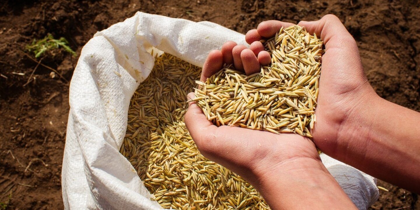 Manyhandsmakebetterseeds