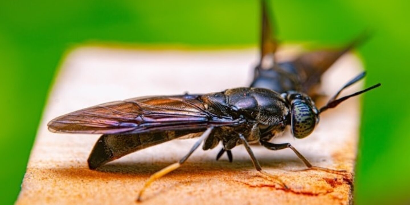 Oktavianus mulyadi Ju Uo J Mz9fyo unsplash