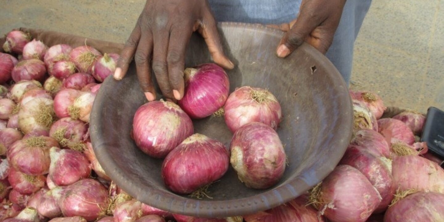 Onion Market