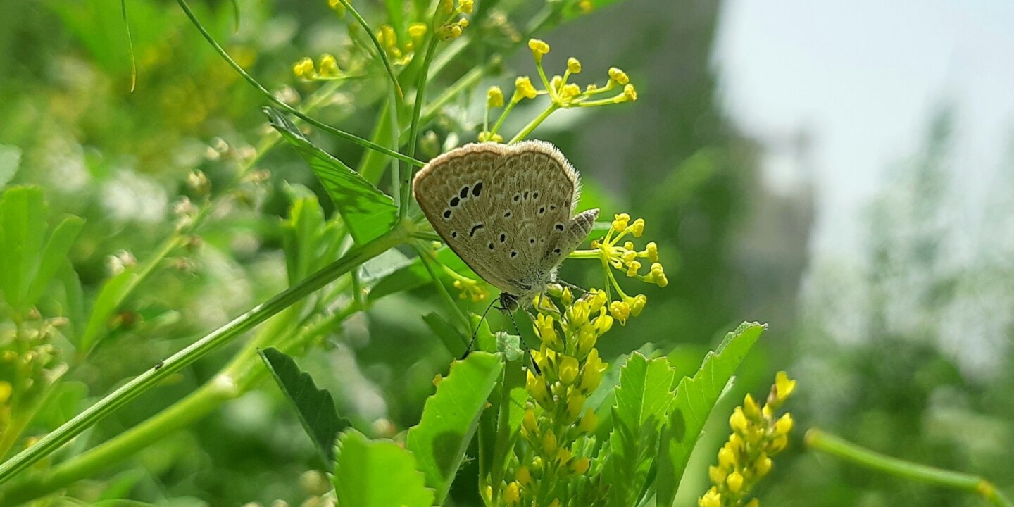 Ram kishor JF0w70e A Jn I unsplash