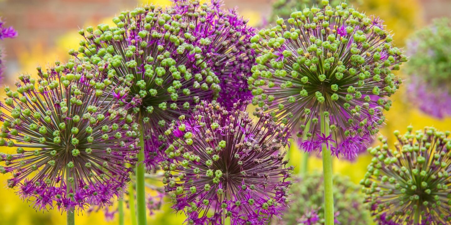 Richard loader P Ea Gx Hk2 NWY unsplash