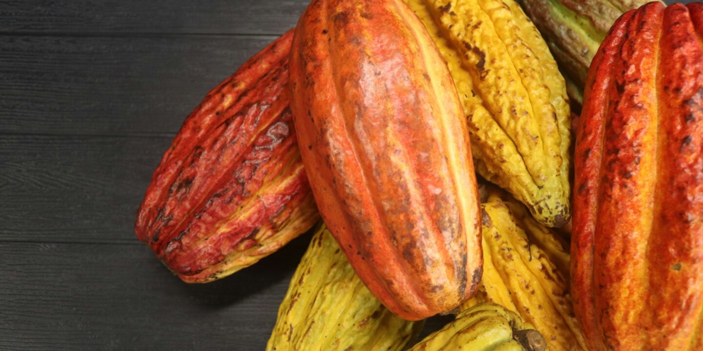 Sara gomes 6 XV Js OLL5mc unsplash