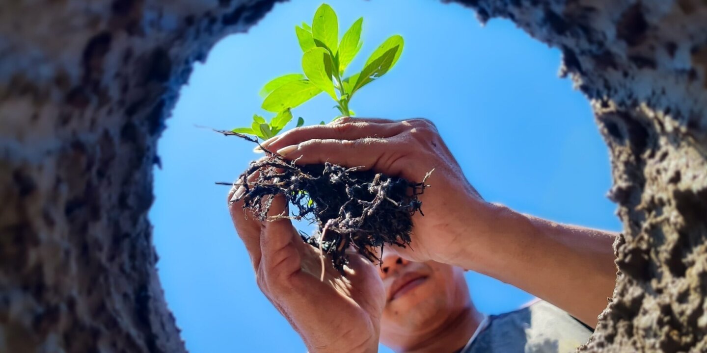 Shutterstock 2392011993 scaled e1741193156735