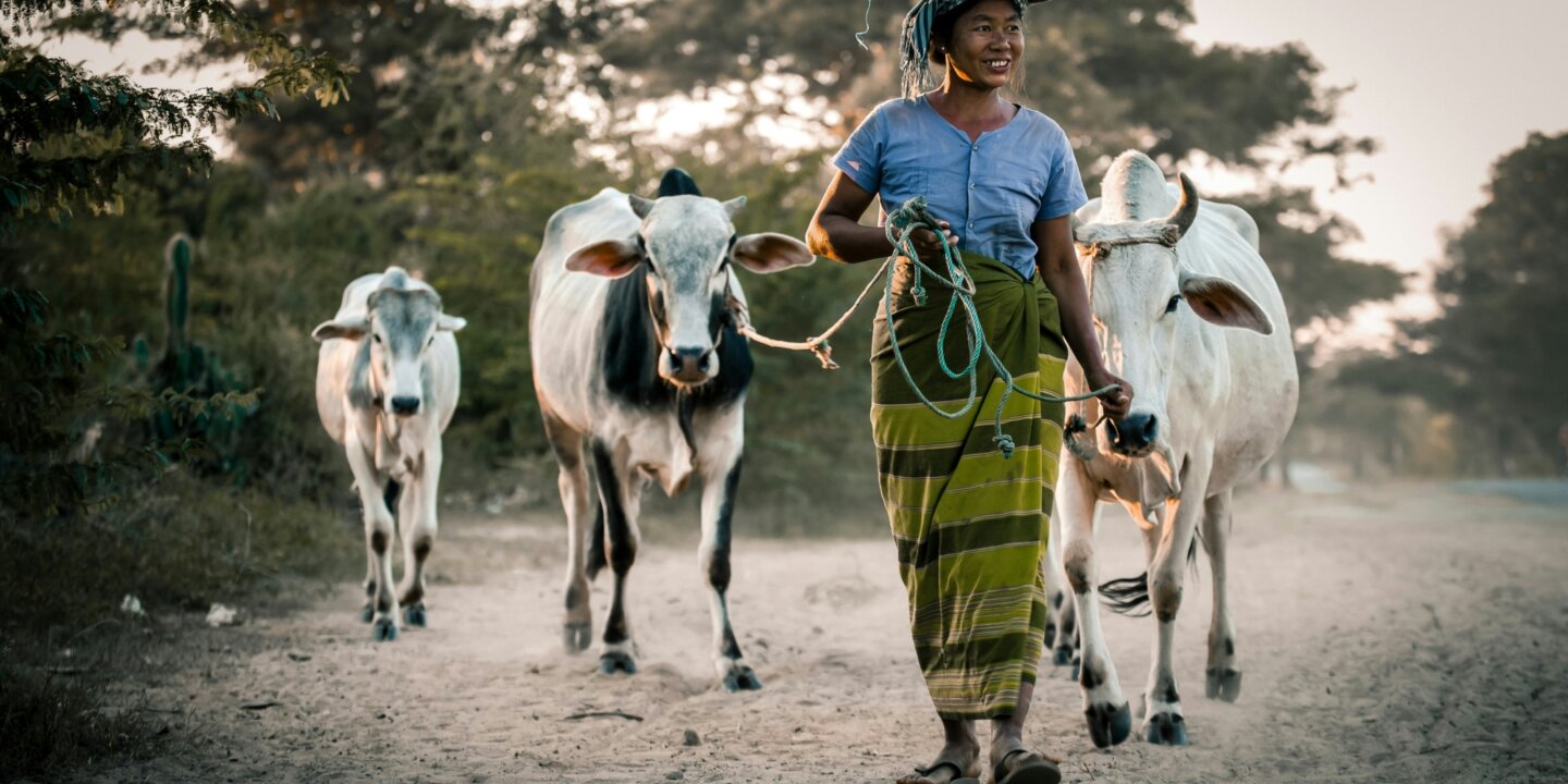 Sippakorn yamkasikorn Dpxw Kqkl7 Q unsplash