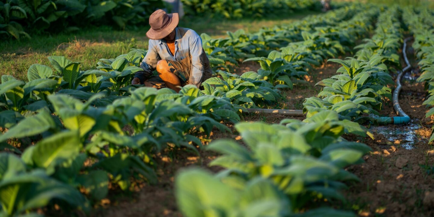 Siwawut phoophinyo Tmxc AZ Ihk Nw unsplash